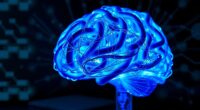 cognitive capacity and expansion