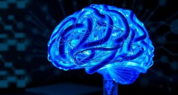 cognitive capacity and expansion