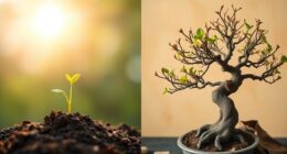 mindset types and differences