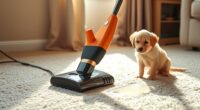 top portable pet carpet cleaners