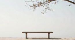 clarity versus void existence
