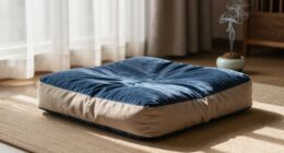 comfort enhances meditation consistency