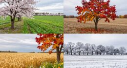 embrace gradual seasonal growth