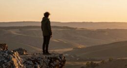 evaluate and manage career risks