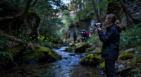 How “The Synchronous Fireflies Of Vallon Creux” Came To The Screen