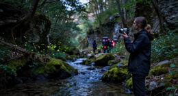 How “The Synchronous Fireflies Of Vallon Creux” Came To The Screen